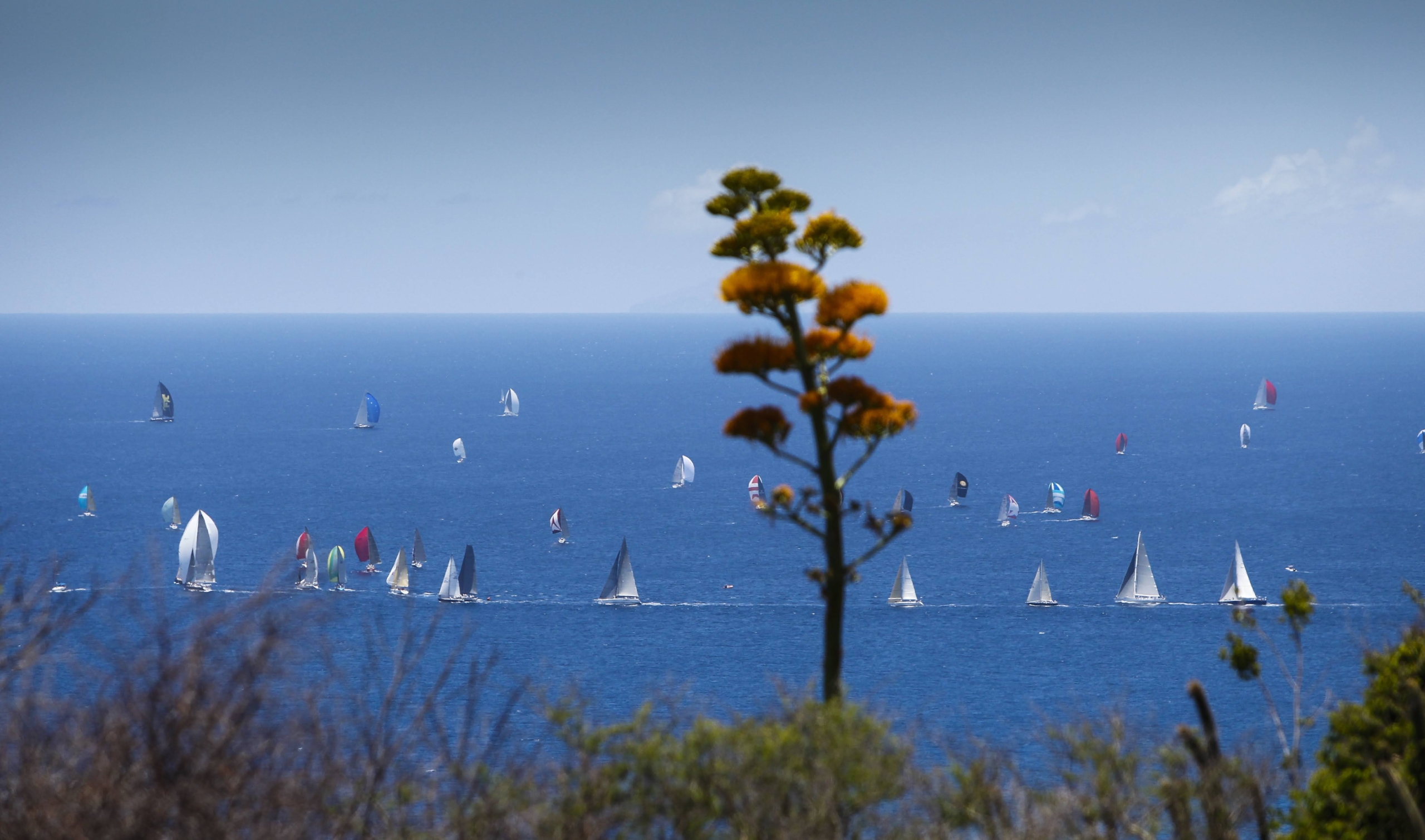 Antigua Sailing Week 2013